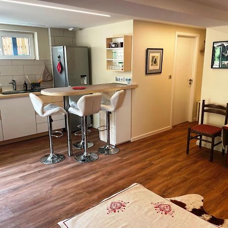 Appart Prive Dans Villa Meinau Residentiel Страсбург Екстериор снимка