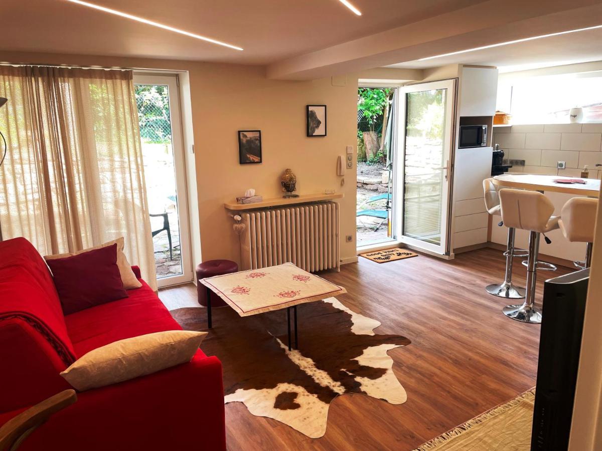 Appart Prive Dans Villa Meinau Residentiel Страсбург Екстериор снимка