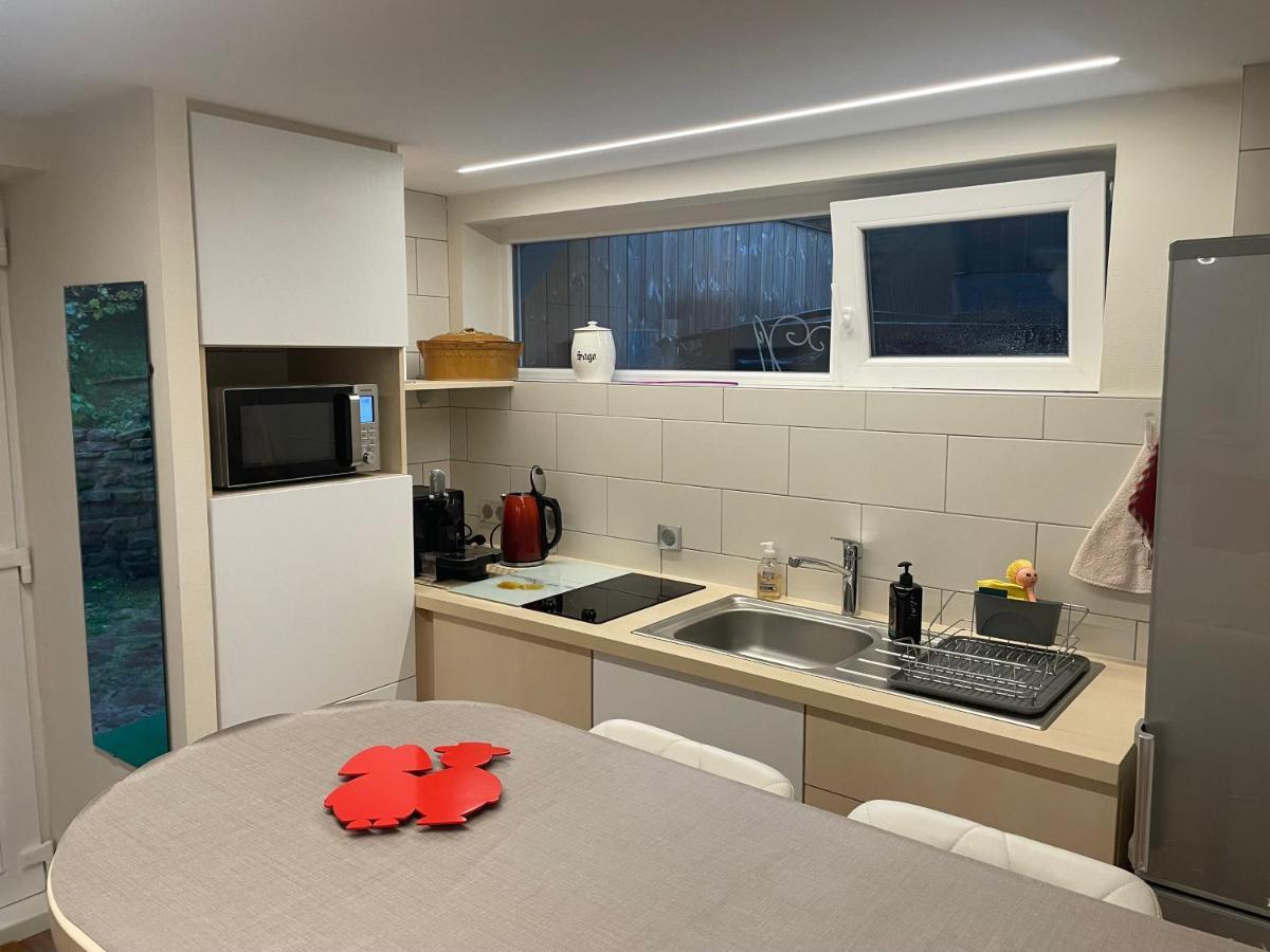 Appart Prive Dans Villa Meinau Residentiel Страсбург Екстериор снимка
