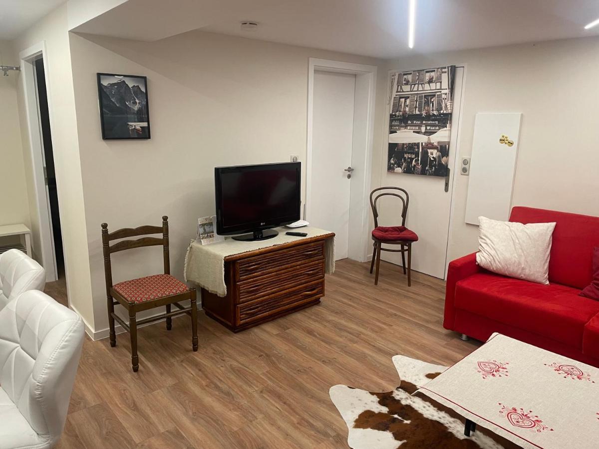 Appart Prive Dans Villa Meinau Residentiel Страсбург Екстериор снимка